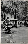 Widok na park zimą ok.1940 r.